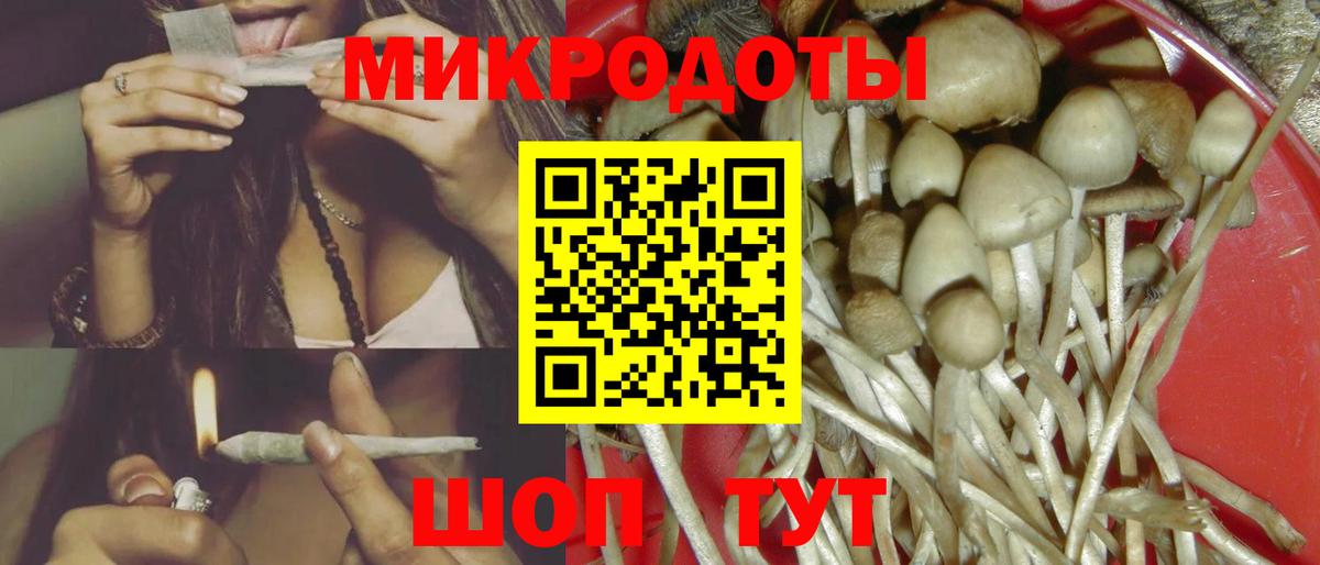 Галлюциногенные грибы Psilocybine cubensis  Галлюциногенные грибы прущие грибы  Назарово  Вход с VPN 